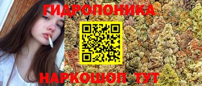 прущие крисы Аргун